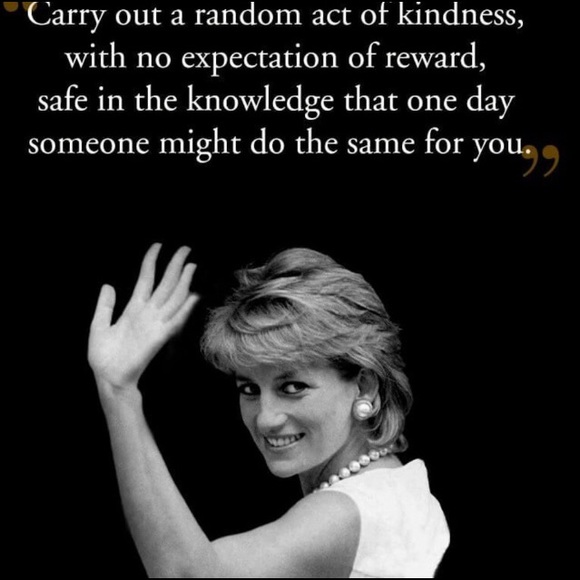 Meet your Posher, M - Picture 1 of 3